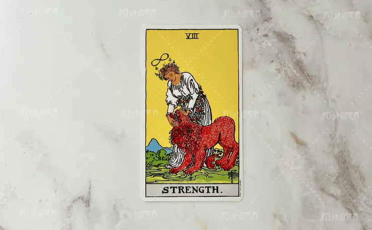 ウェイト＝スミスタロットの「力（Strength）」のカード。白いローブをまとった人物が赤いライオンの頭を優しく押さえている。人物の頭上には無限大（∞）のマークが描かれ、穏やかな表情が特徴。背景には丘と黄色の空が広がり、カードの上部には「VIII」、下部には「STRENGTH」の文字が記されている。